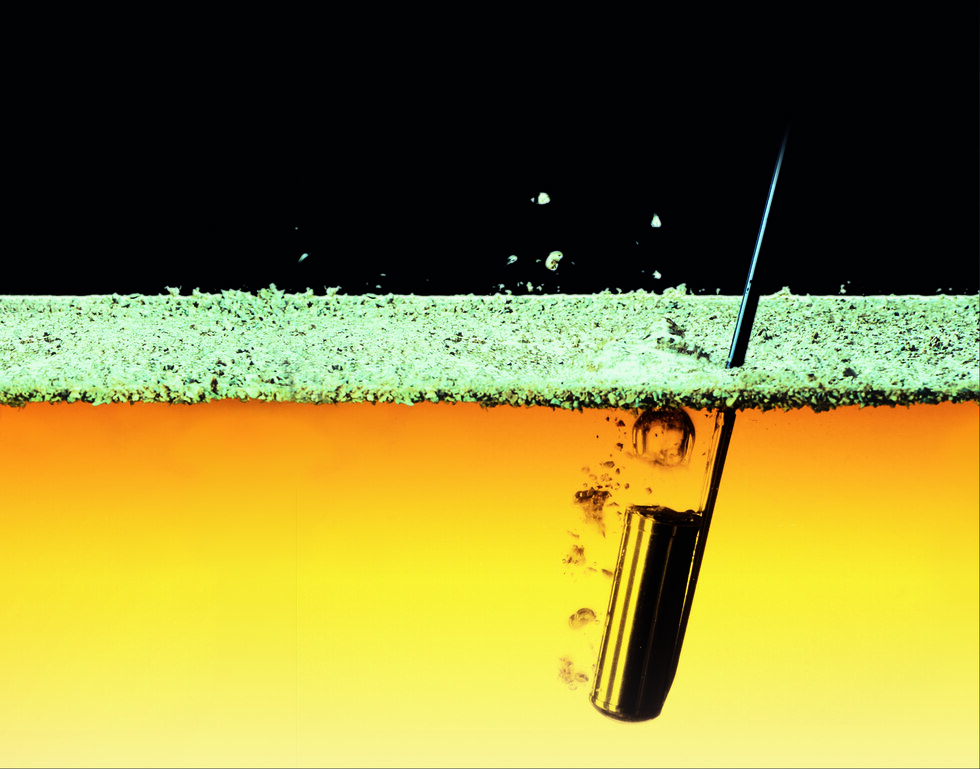 Veil of yeast, called 'flor' that rests on top of the sherry wine inside the barrel.