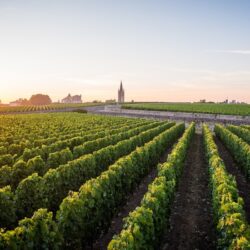 Eglise Saint Emilion
