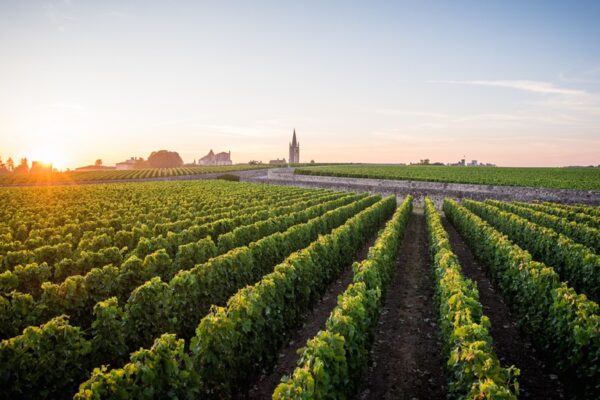 Eglise Saint Emilion