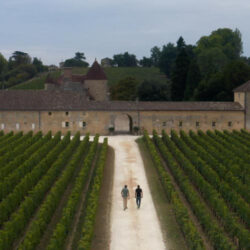 Chateau Grand Mayne Saint Emilion Grand Cru Classe