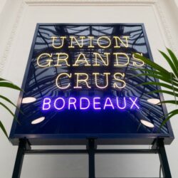 Understanding the 2022 vintage around Bordeaux
