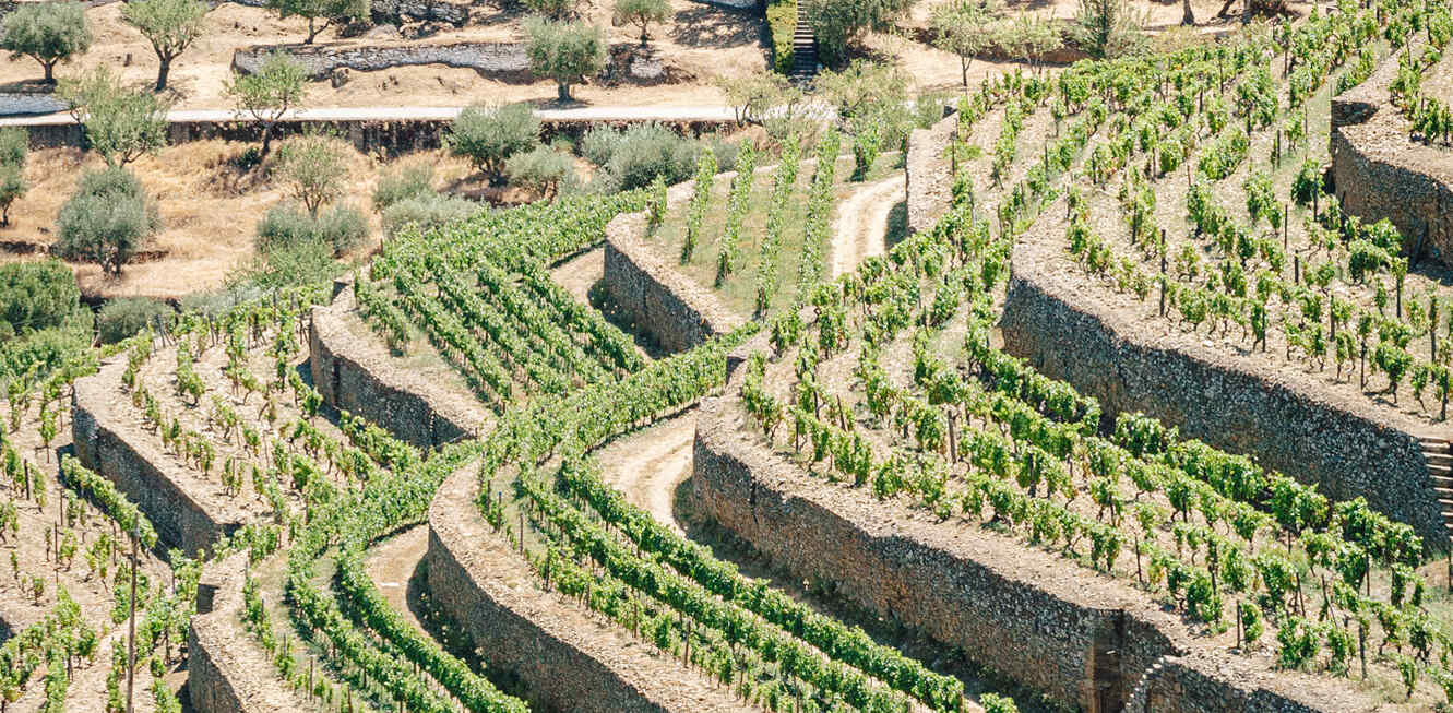 Quinta de Vargellas (5) (2)