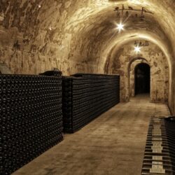 Time & Terroir: Champagne Palmer