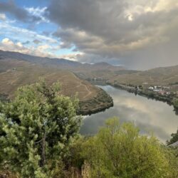 The Guardians of the Douro: Preserving the Heritage of Vintage Port