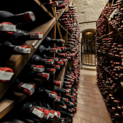 Young Sommeliers at the Heart of Masi