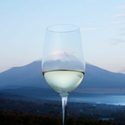 Koshu: Precision, Purity, Power of Place