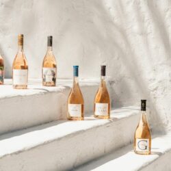 Rethinking Rosé: Bias, Blind Spots and Better Tasting
