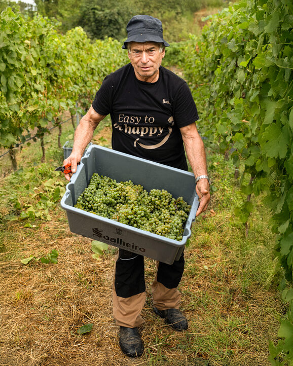 Soalheiro 1 vinha alt final