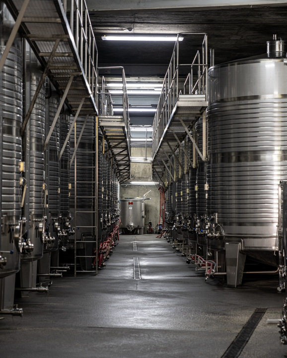 Soalheiro CALMA NA ADEGA 2024