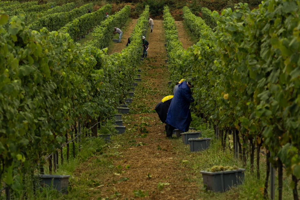 vind.chuva2 Soalheiro